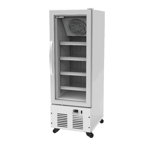 EFGV 275