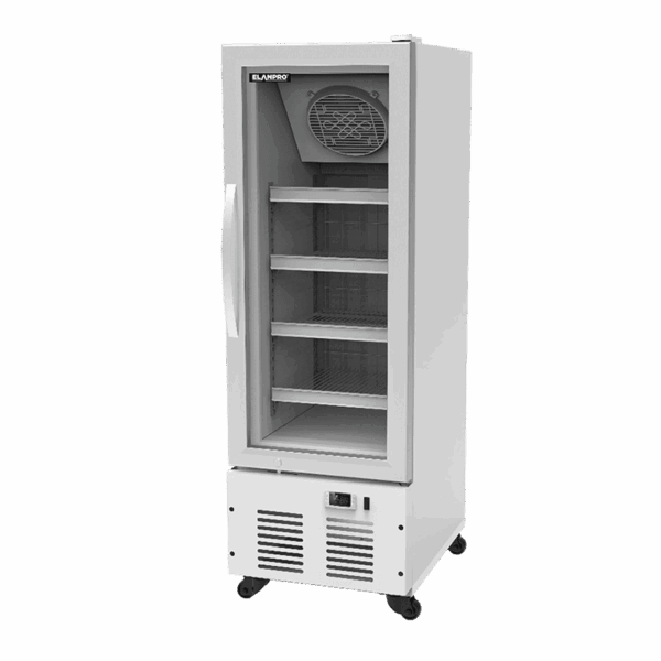 EFGV 275