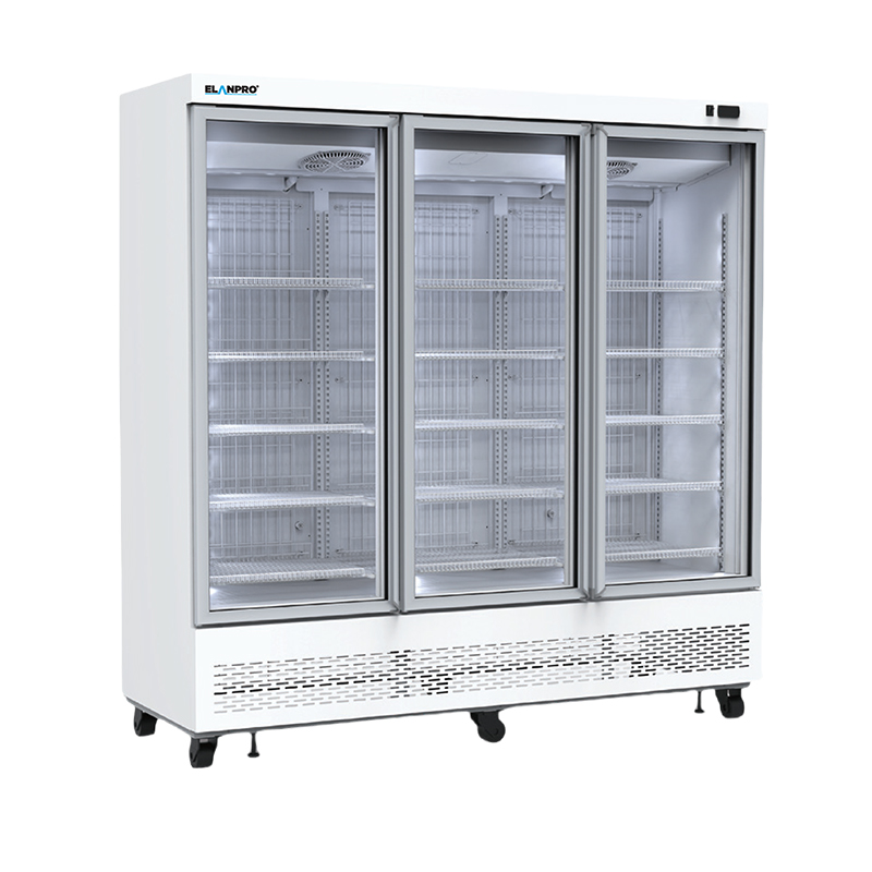 Plug-in Freezer Cabinet 2/3 Doors